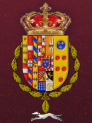 Detalle de las armas her�ldicas representadas en el campo del estandarte de S.M. el rey don Pedro de Borb�n Dos Sicilias. El estandarte es rectangular de proporci�n 2:3, preferentemente con una longitud de 7,3 metros desde la vaina hasta el extremo batiente de la bandera, y elaborado preferiblemente en tafet�n de seda, emula la estrella de ocho puntas del centro del tapiz anacr�nicamente conocido como el "pend�n de las Navas de Tolosa".